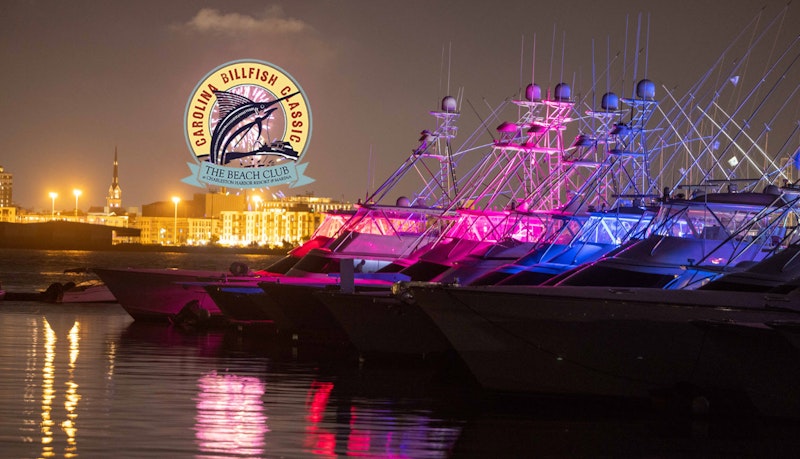 carolina billfish classic fishing tournament