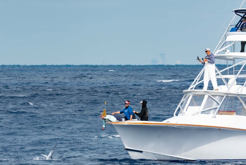 greg graham catching sailfish in tournament