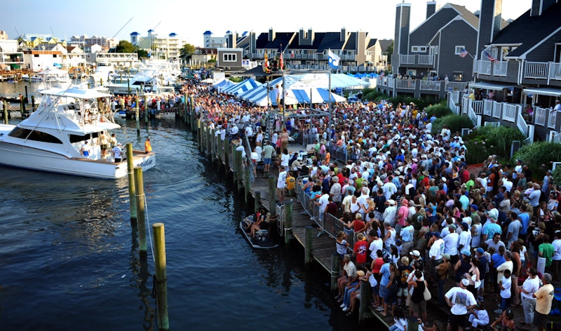 white marlin open fishing tournament