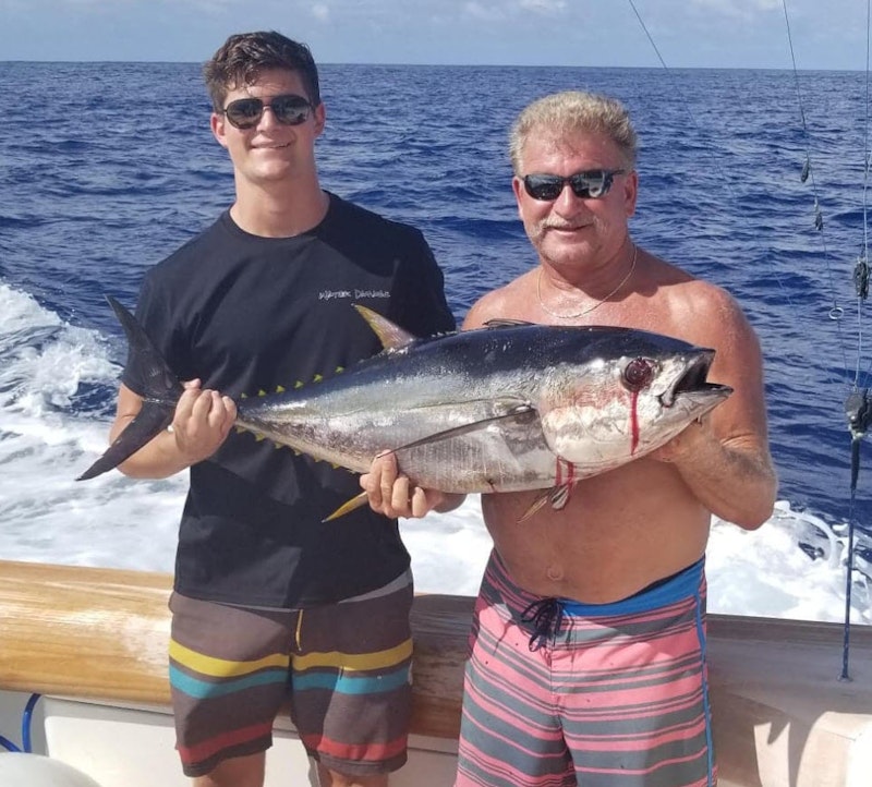yellowfin tuna