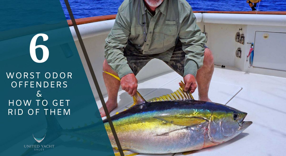 Get Rid Of Boat Smells Before You Go To Sell It United Yacht Sales
