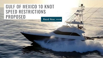 photo of Another 10-Knot Speed Rule Proposed For The Gulf Of Mexico