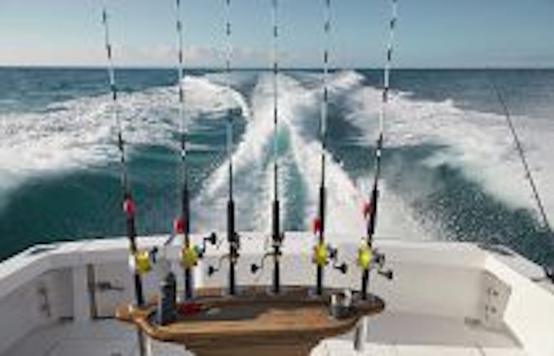 photo of Cabo 41 Express Fishing Features